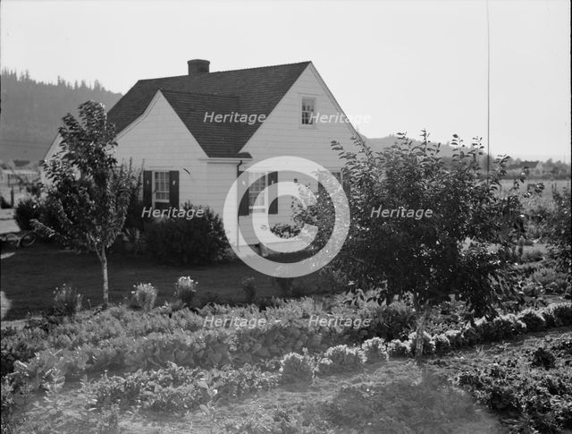 Home on Longview homestead project, Cowlitz County, Washington, 1939. Creator: Dorothea Lange.