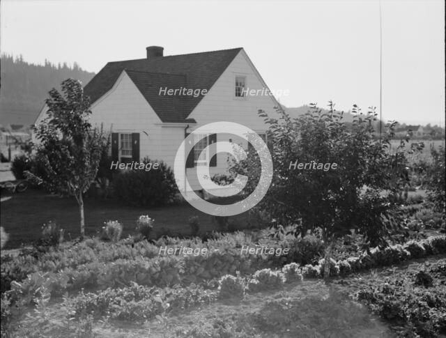 Home on Longview homestead project, Cowlitz County, Washington, 1939. Creator: Dorothea Lange.