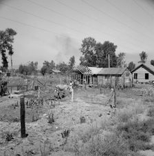 Home, self-built in two years, bit by bit, Yakima, Washington, 1939. Creator: Dorothea Lange