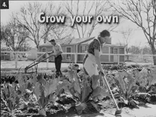Homegrown food is homegrown wealth, 1936. Creator: Dorothea Lange