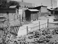 Homes of Mexican field laborers, a street in Brawley, Imperial Valley, California, 1935. Creator: Dorothea Lange