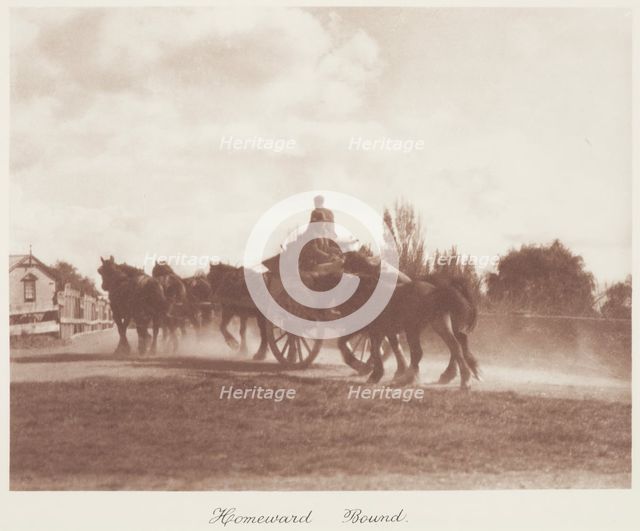 Homeward bound. From the album: Camera Pictures of New Zealand, 1920s. Creator: Harry Moult.