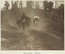 Homeward bound. From the album: Camera Pictures of New Zealand, 1920s. Creator: Harry Moult