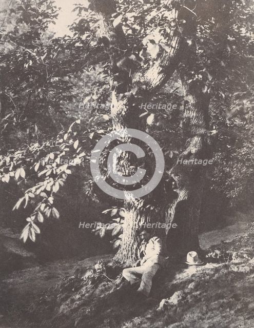 Homme allongé au pied d'un chàtaignier, 1850-53. Creator: Charles Marville.