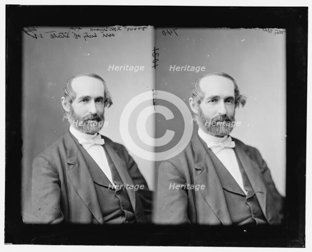 Hon. F.W. Seward, Ass't Sec. of State, between 1865 and 1880. Creator: Unknown.