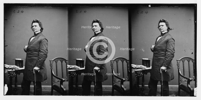 Hon. James Mitchell Ashley of Ohio, Editor of Dispatch & Gov. of Territory of Montana, ca. 1860-1865 Creator: Unknown.