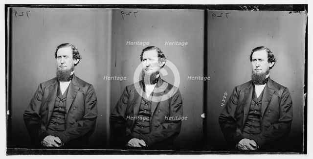 Hon. S.L. Carey, ca. 1860-1865. Creator: Unknown.