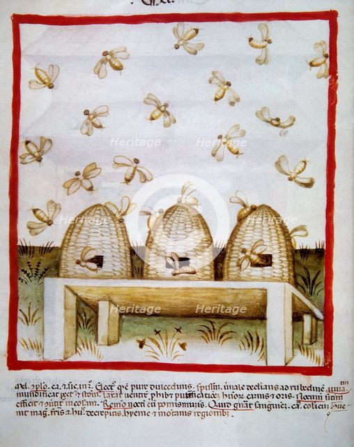 Honey, 14th century.  Creator: Unknown.