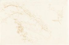 Honeysuckle, 1878. Creator: Edward John Poynter