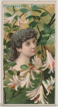 Honeysuckle: Fidelity, from the series Floral Beauties and Language of Flowers (N75) for D..., 1892. Creator: Donaldson Brothers