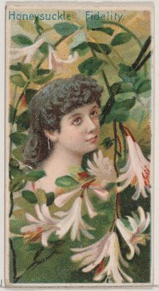 Honeysuckle: Fidelity, from the series Floral Beauties and Language of Flowers (N75) for D..., 1892. Creator: Donaldson Brothers