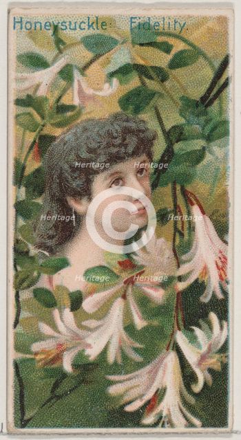 Honeysuckle: Fidelity, from the series Floral Beauties and Language of Flowers (N75) for D..., 1892. Creator: Donaldson Brothers.
