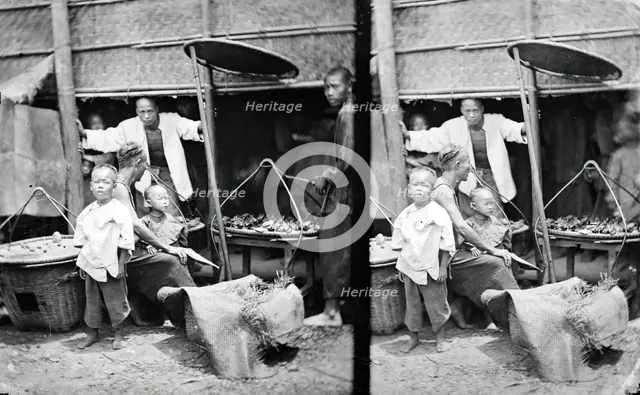 Hong Kong, 1871. Creator: John Thomson.