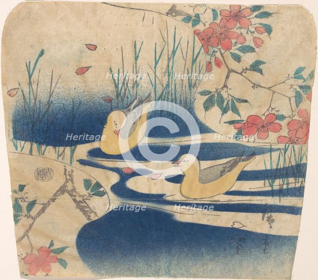 Hooded Gulls and Cherry Blossoms, probably 1850-62., probably 1850-62. Creator: Ando Hiroshige.