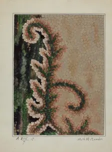 Hooked Rug, c. 1936. Creator: Ruth M. Barnes