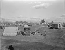 Hooverville of Bakersfield, California, 1936. Creator: Dorothea Lange