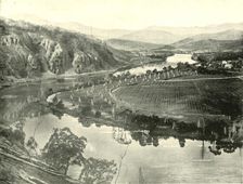 Hop Gardens in Tasmania 1901. Creator: Unknown