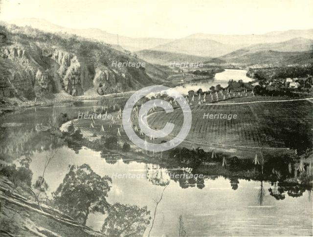 'Hop Gardens in Tasmania', 1901. Creator: Unknown.