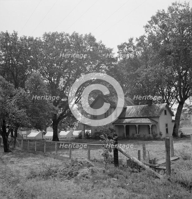 Hop grower's home on Rogue River, with the tent camp he..., near Medford, Jackson County, 1939. Creator: Dorothea Lange.