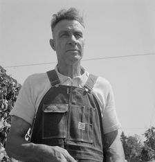 Hop picker, once Nebraska farm owner, near Independence, Polk County, Oregon, 1939. Creator: Dorothea Lange