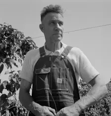 Hop picker, once Nebraska farm owner, Polk County, Oregon, 1939. Creator: Dorothea Lange