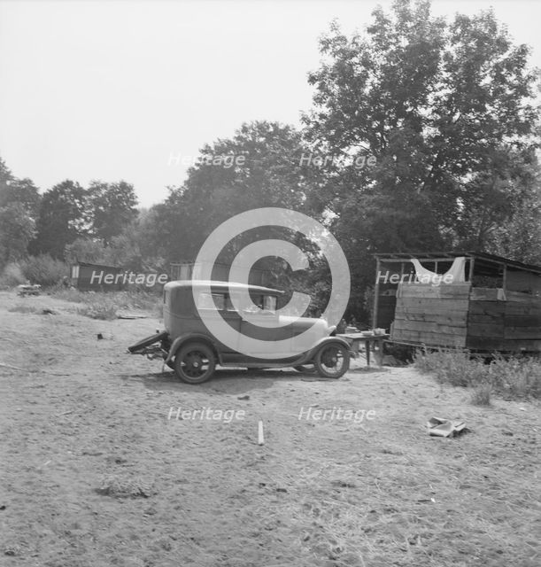 [Hop pickers' camp?], 1939. Creator: Dorothea Lange.