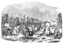 Hop-picking, 1858. Creator: Unknown