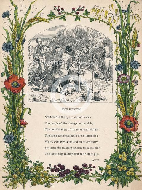 'Hop-Picking', c1900. Artist: Unknown.