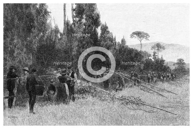 Hop Picking near Bairnsdale, Australia, 1886. Artist: Unknown