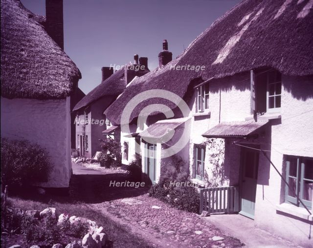 Hope Village, Devon, c1955. Creator: Arthur Charles Kirby Ware.