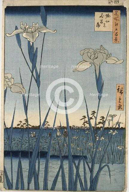 Horikiri Iris Garden, 1857. Creator: Ando Hiroshige.
