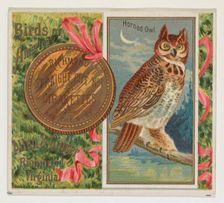 Horned Owl, from the Birds of America series (N37) for Allen & Ginter Cigarettes, 1888. Creator: Allen & Ginter
