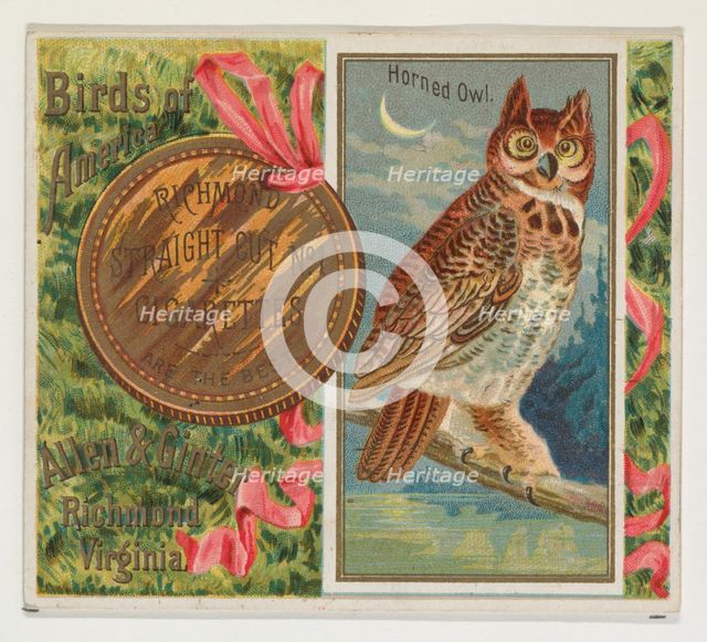 Horned Owl, from the Birds of America series (N37) for Allen & Ginter Cigarettes, 1888. Creator: Allen & Ginter.