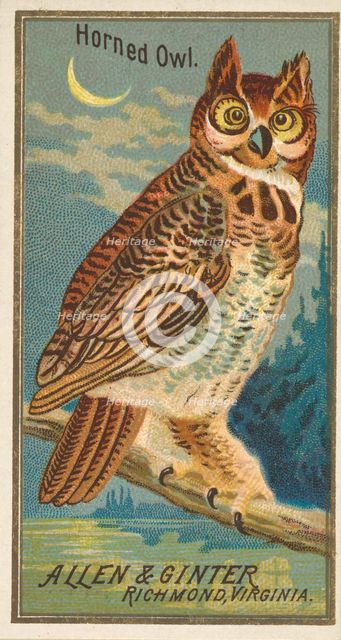 Horned Owl, from the Birds of America series (N4) for Allen & Ginter Cigarettes Brands, 1888. Creator: Allen & Ginter.