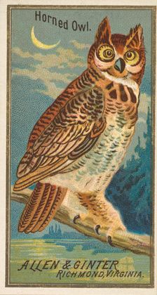 Horned Owl, from the Birds of America series (N4) for Allen & Ginter Cigarettes Brands, 1888. Creator: Allen & Ginter