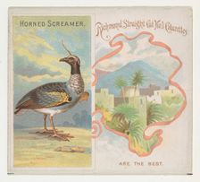 Horned Screamer, from Birds of the Tropics series (N38) for Allen & Ginter Cigarettes, 1889. Creator: Allen & Ginter