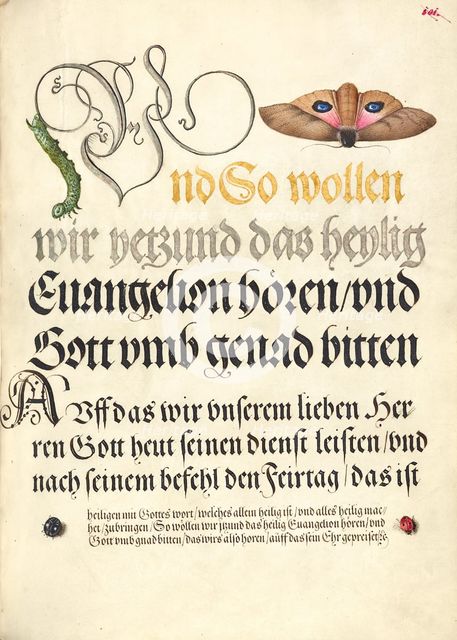 Horntail Caterpillar, Eyed Hawk-Moth, Beetle, Two-Spot Ladybird, 1561-1562; illumination added 1591- Creator: Joris Hoefnagel.