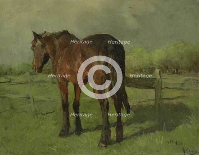 Horse, 1860-1888.  Creator: Anton Mauve.