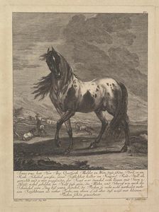 Horse, 18th Century. Creator: Unknown
