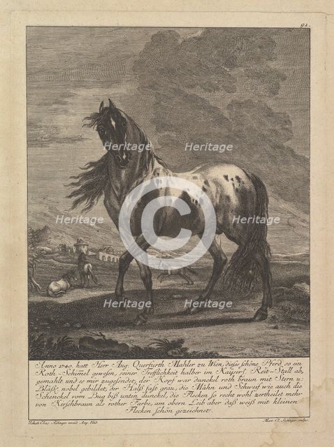 Horse, 18th Century. Creator: Unknown.