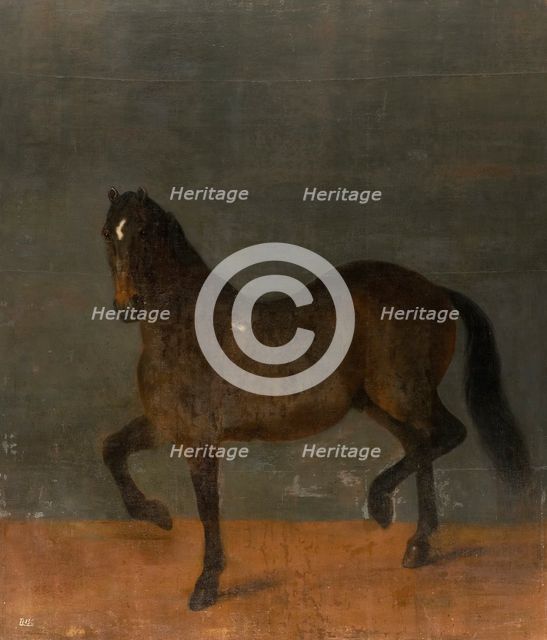 Horse called the Firecutter, c17th century. Creator: David Klocker Ehrenstrahl.