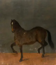Horse called the Firecutter, c17th century. Creator: David Klocker Ehrenstrahl