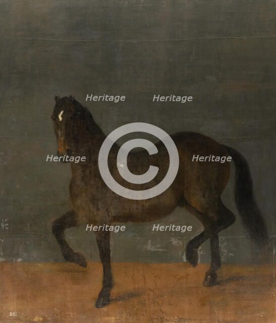 Horse called the Firecutter, c17th century. Creator: David Klocker Ehrenstrahl.