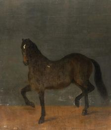 Horse called the Firecutter, c17th century. Creator: David Klocker Ehrenstrahl