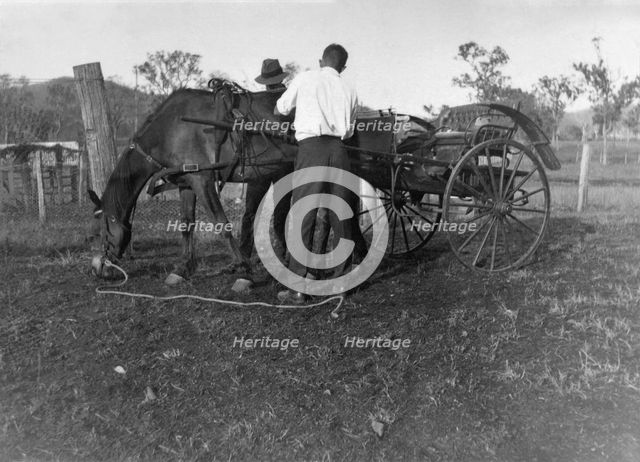 Horse & Cart, 1926. Creator: Jack Bain.