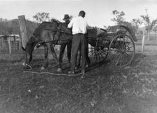 Horse & Cart, 1926. Creator: Jack Bain