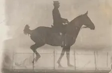 Horse And Rider (Cavalier Et Cheval) #1, c1888. Creator: Etienne Jules Marey