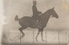 Horse And Rider (Cavalier Et Cheval) #1, c1888. Creator: Etienne Jules Marey