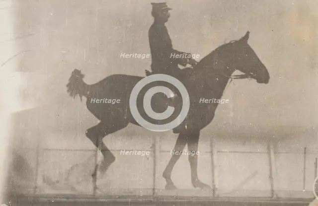 Horse And Rider (Cavalier Et Cheval) #1, c1888. Creator: Etienne Jules Marey.