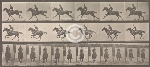 [Horse and Rider Galloping], 1883-86, printed 1887. Creator: Eadweard J Muybridge.